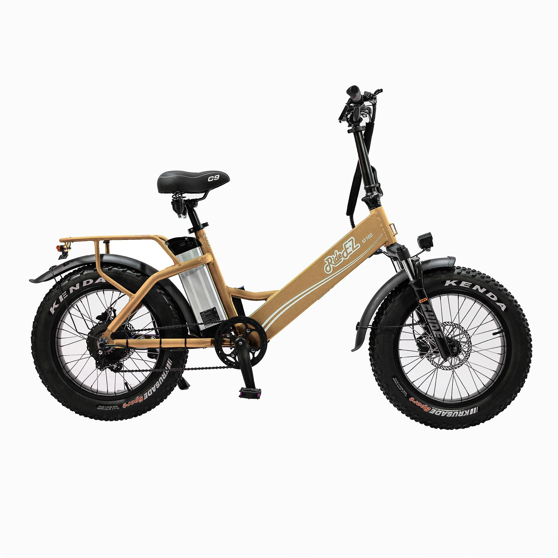 ST100 Step-Thru Electric Bike